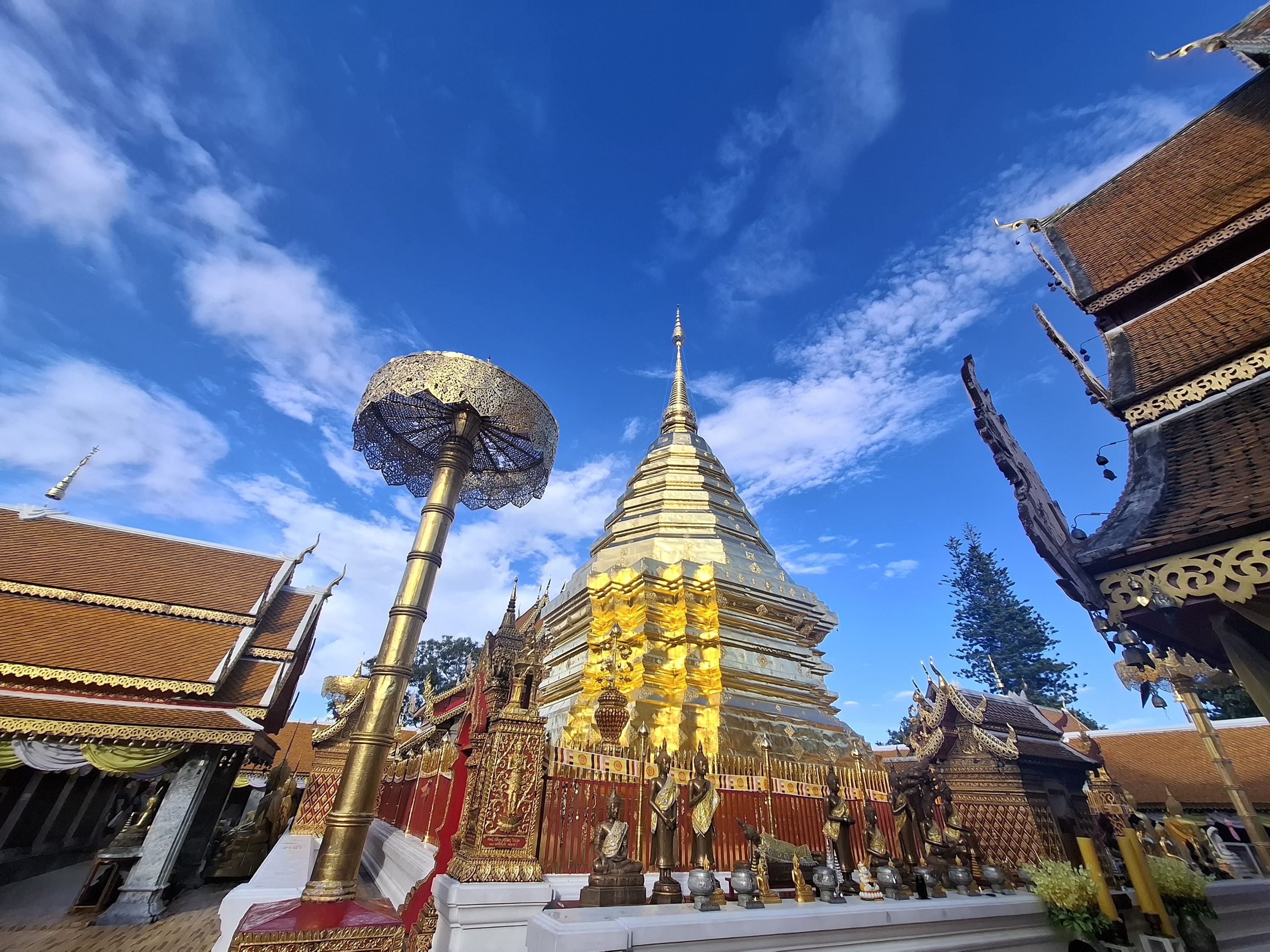ทัวร์ดอยสุเทพ จิบชา พื้นถิ่น หมู่บ้านม้งดอยปุย