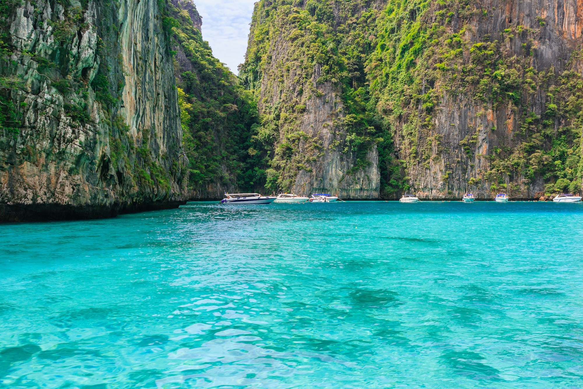 From Krabi: Phi Phi Islands Day Tour