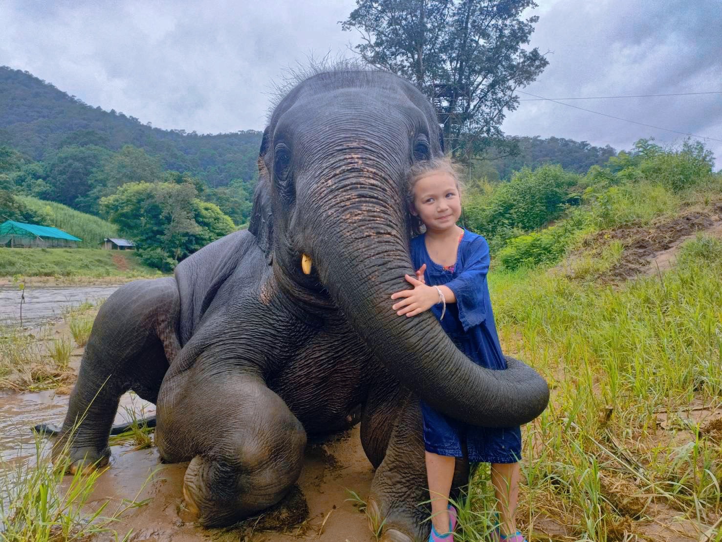 Elephant Care & Bonding Experience at Chokchai Elephant Camp