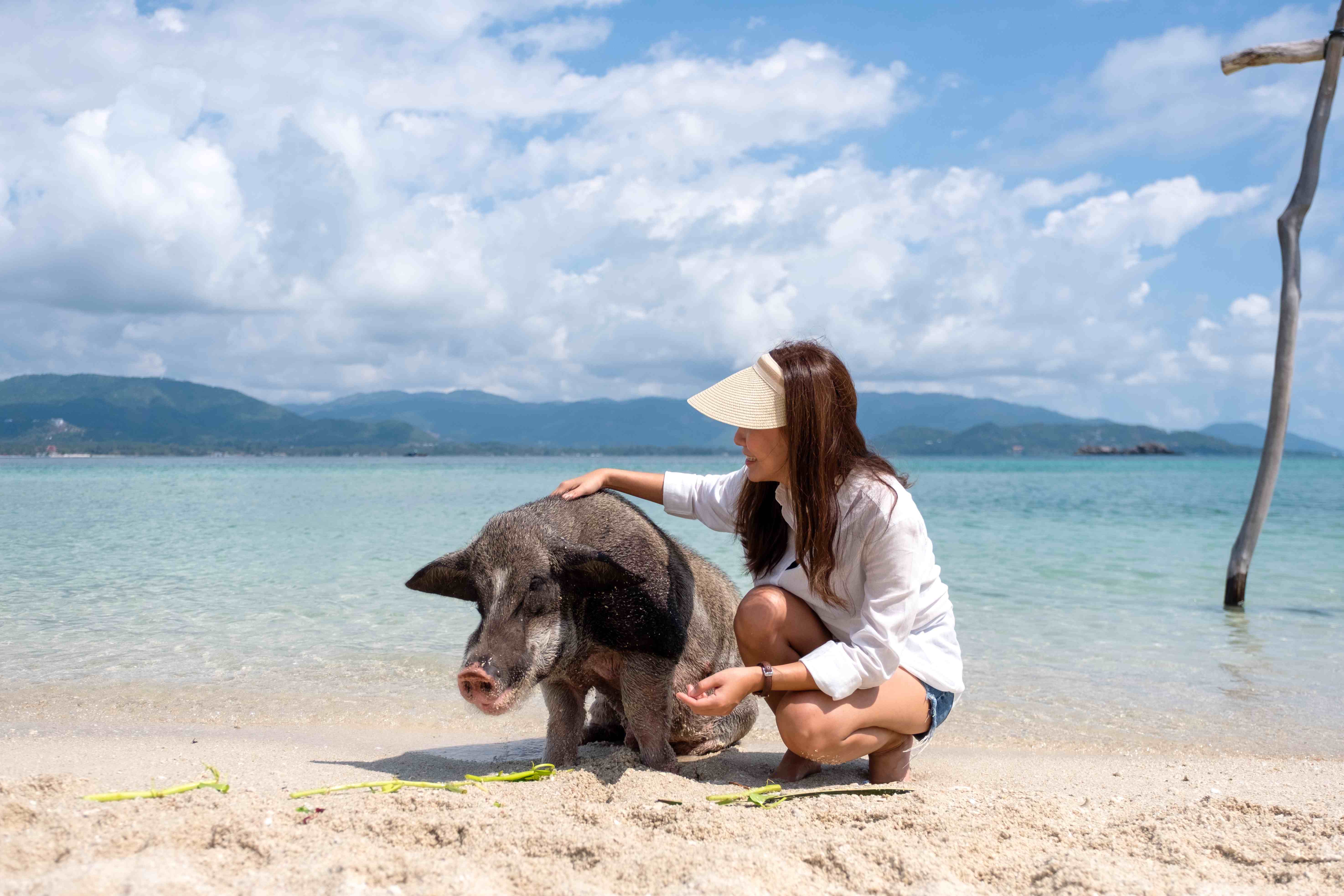 ทัวร์เกาะแตนและเกาะมัดสุม โดยเรือสปีดโบ๊ท จากเกาะสมุย