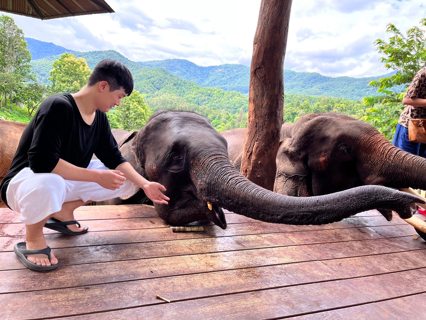 Good Vibes Journey: Elefin Farm&Cafe, Cypress Lanes + Baan Kang Wat