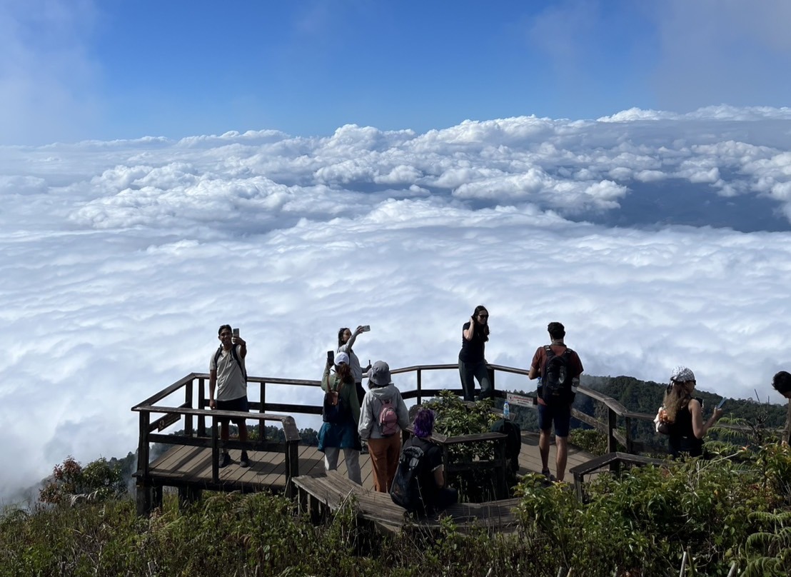 Doi Inthanon National Park One-Day Tour with Scenic 2Hour Trek